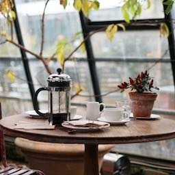 Let's start your journey - book a Discovery Call